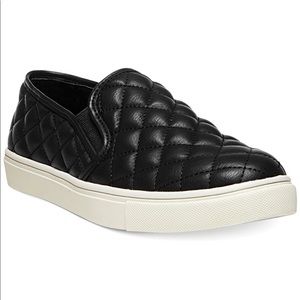 🆕 Steve Madden Women's Ecentrcq Sneaker